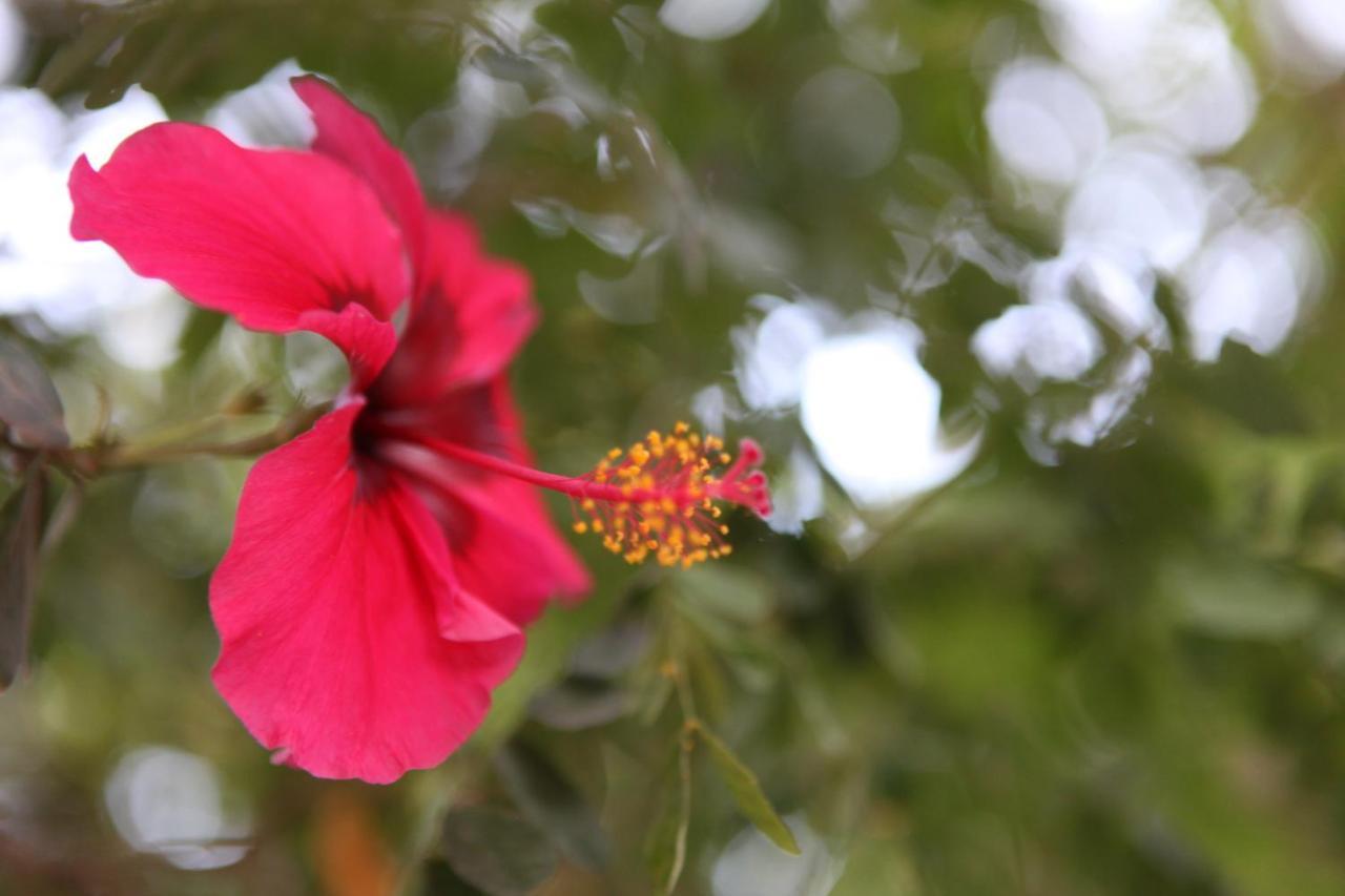 Hospedagem Sabor Da Trilha Vale do Capao Exteriér fotografie